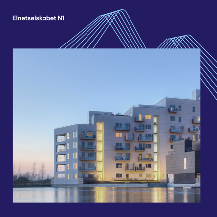 Elnetselskabet N1